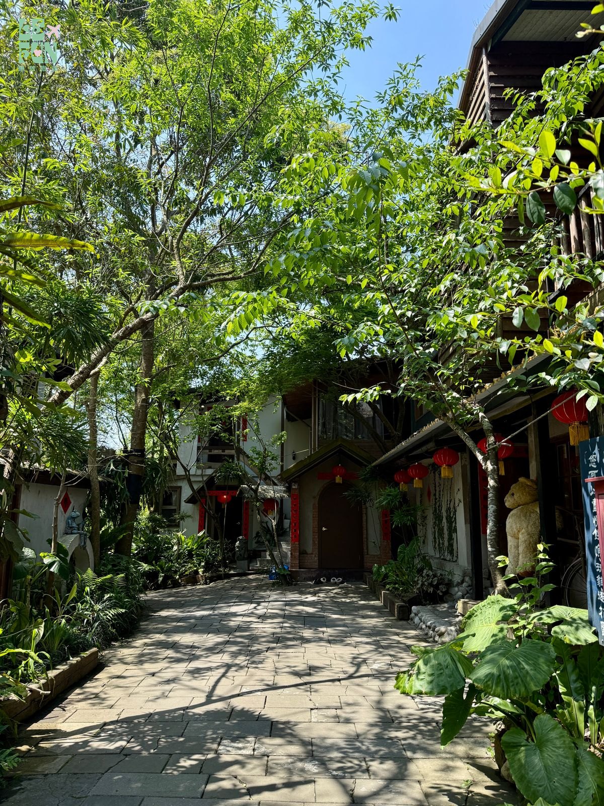 苗栗三義卓也小屋樹蔭石板步道與木造建築
