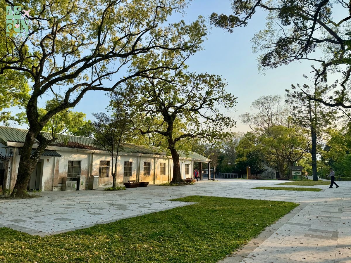 桃園復興角板山行館園區樹蔭、草地與北入口建築群